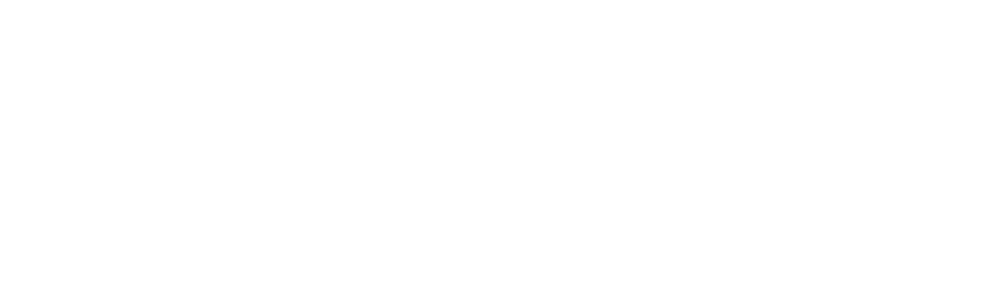 White MaxBIT company logo